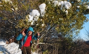 50 e neve in sospeso sulla testa !
